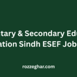 Elementary & Secondary Education Foundation Sindh ESEF Jobs 2026 – Complete Career Guide for Applicants