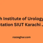 Sindh Institute of Urology and Transplantation SIUT Karachi Jobs 2026 at Career Opportunities.