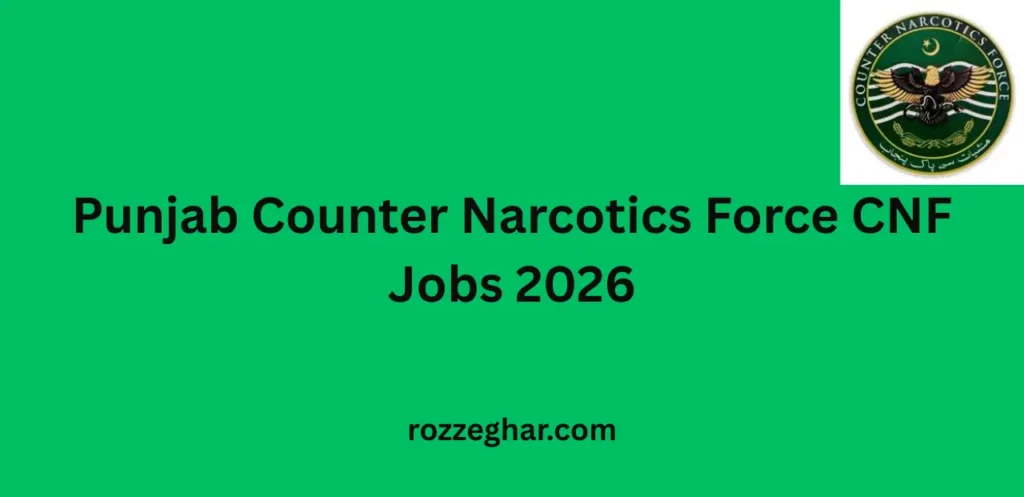 Punjab Counter Narcotics Force CNF Jobs 2026 – Apply Online for Latest Vacancies